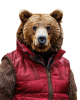 baer-small